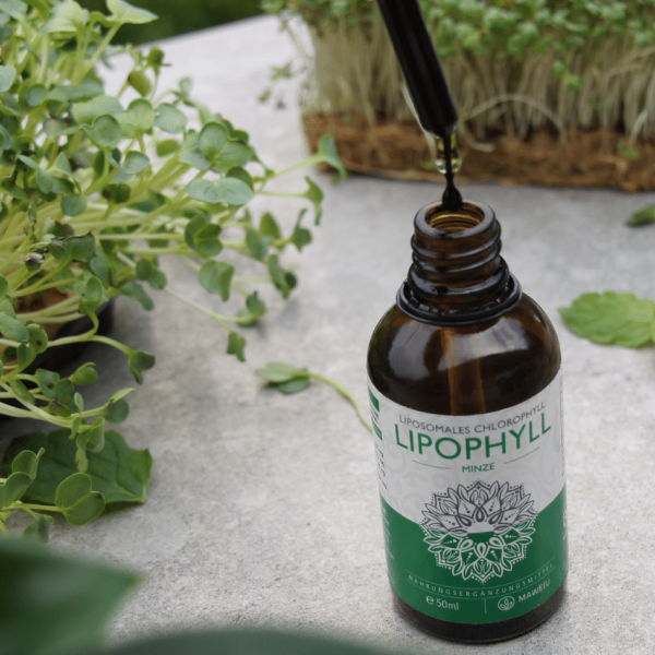 Lipophyll Online-Schn?ppchen – Bild 3